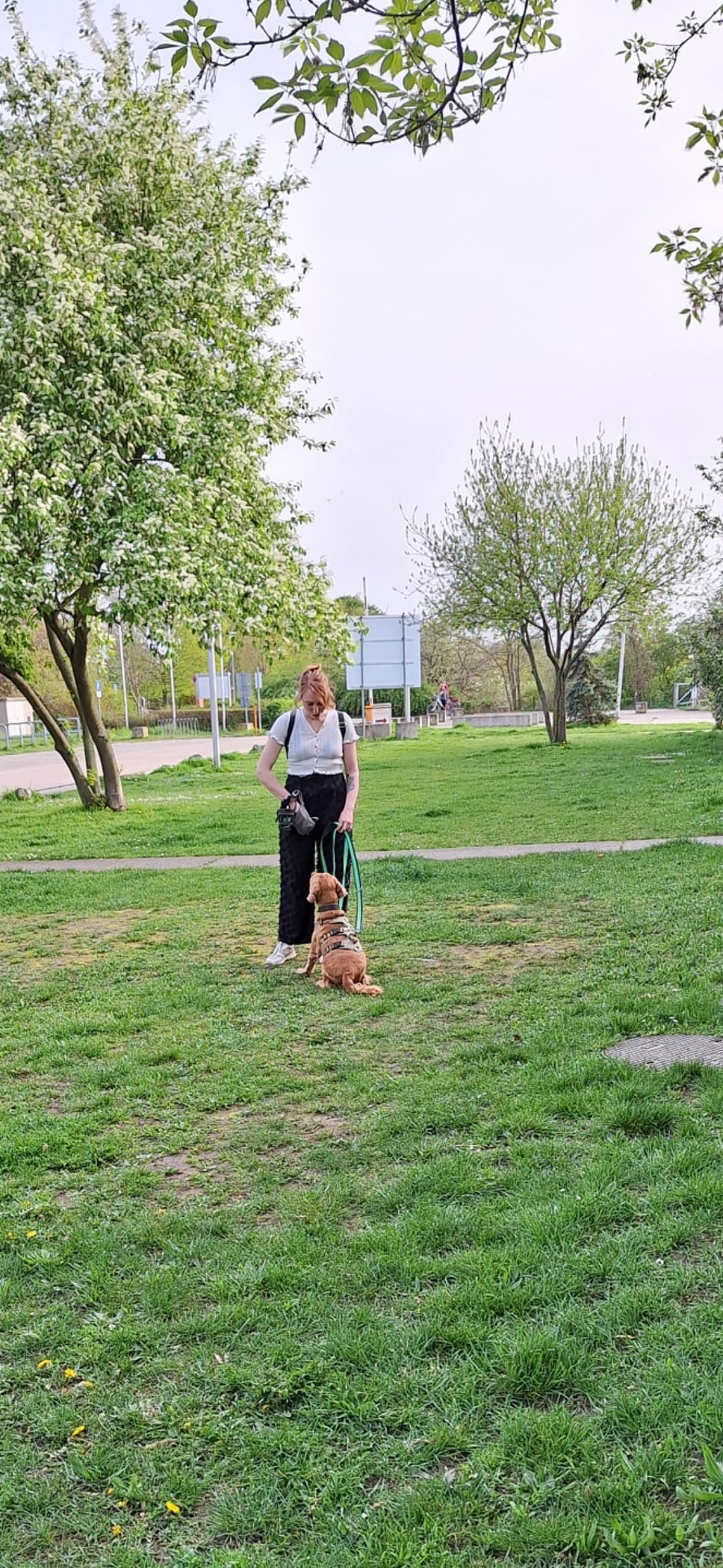 Erinnerungsbild