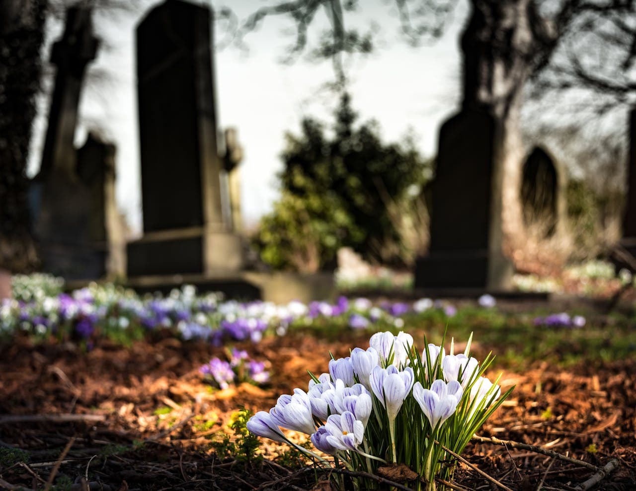 Trauern nicht zwingend auf dem Friedhof - Wie sich das Gedenken verändert