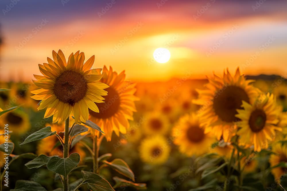 Gedenkbanner