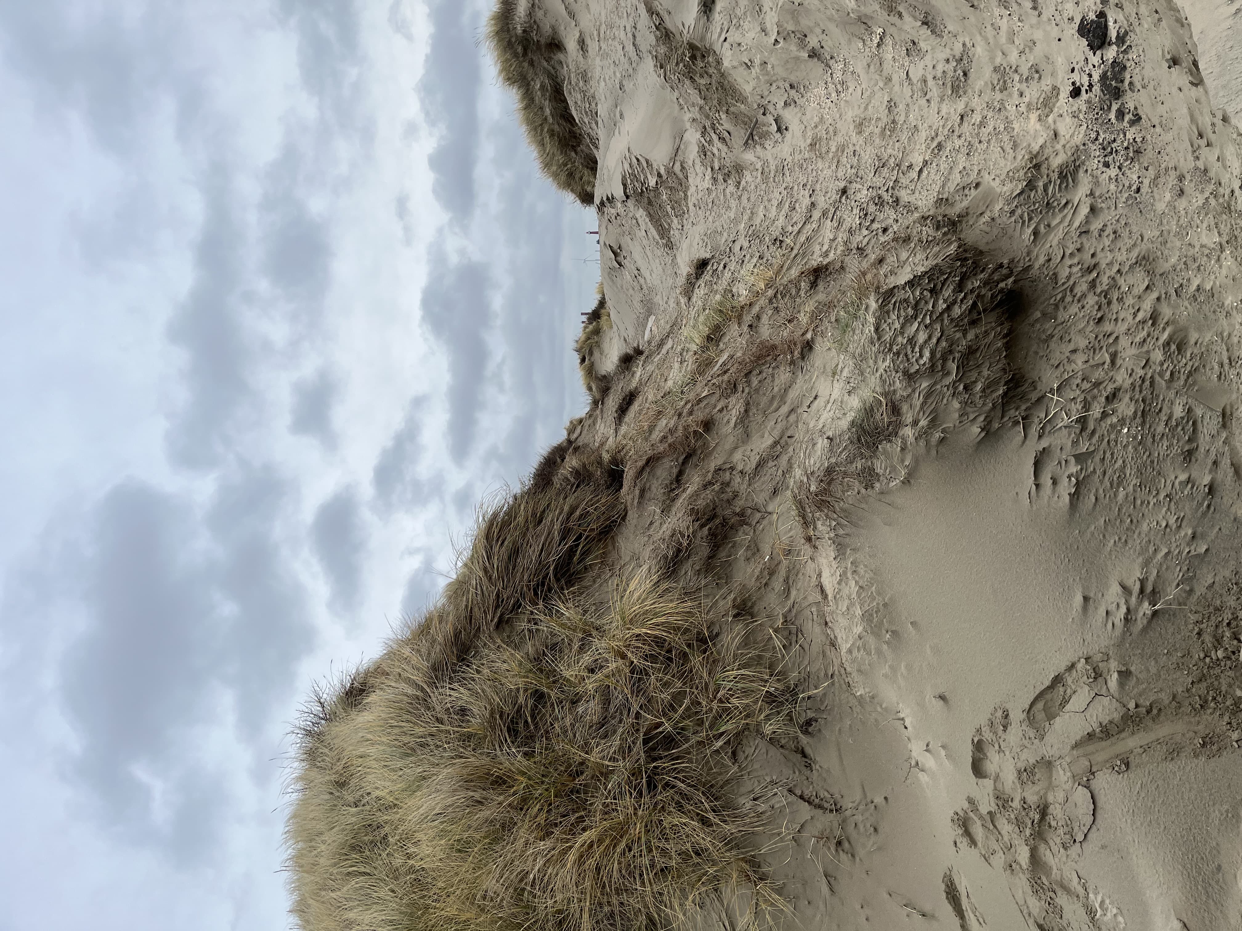 Gedenkbanner